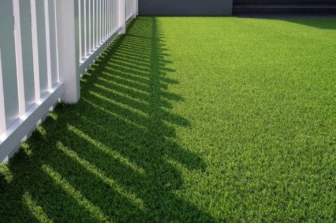 Artificial Grass