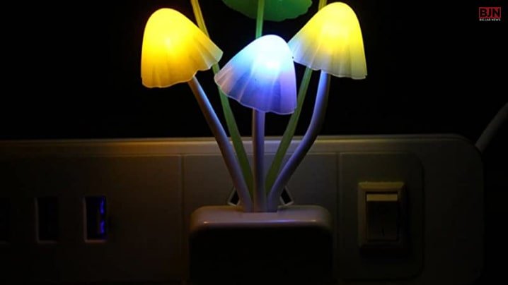 3D Plug In Night Lights Lamp