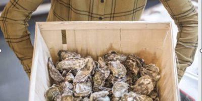 Have Fresh Oysters Delivered Straight