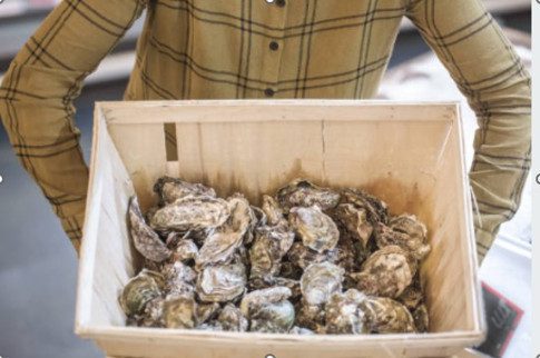Have Fresh Oysters Delivered Straight