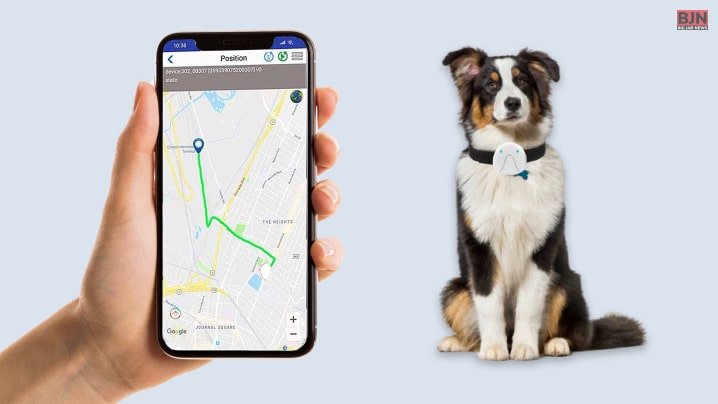 Pet GPS Trackers