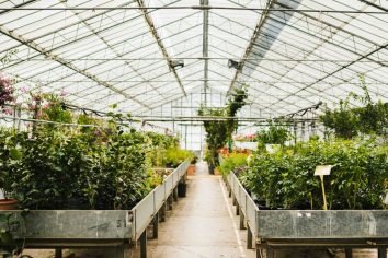 8 Benefits Of An Automated Greenhouse In Commercial Growing