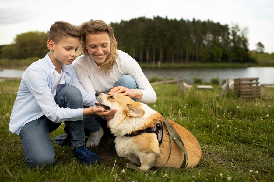 Gaining Your Pet’s Trust