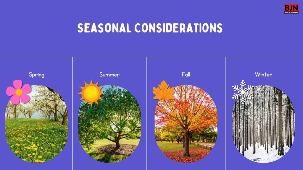 Seasonal Considerations