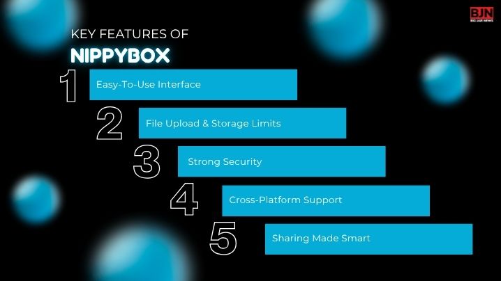 Key Features of NippyBox