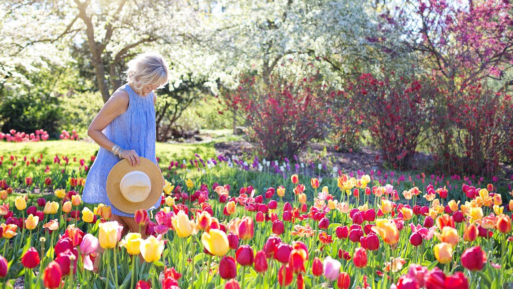 Neat Garden