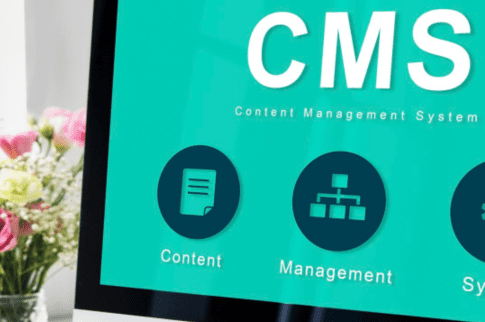 Headless CMS for finance