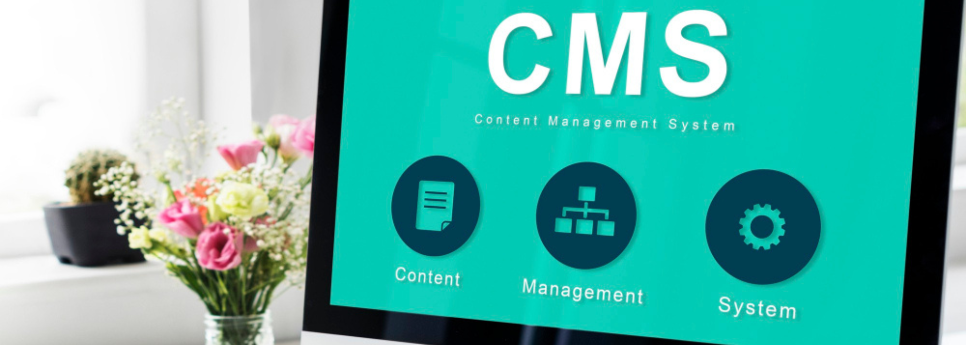 Headless CMS for finance